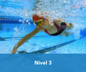 Nivel 3