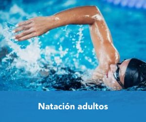natación adultos